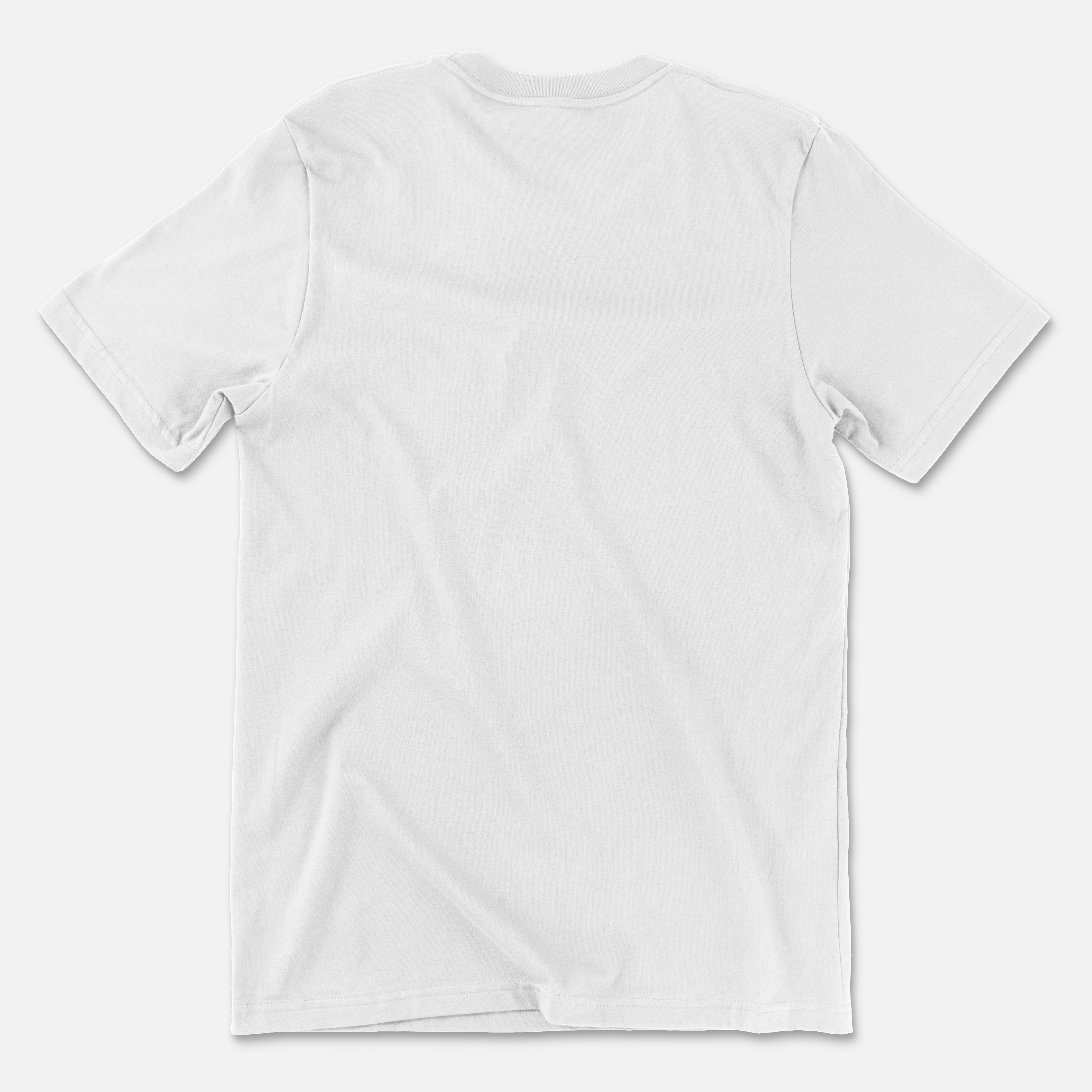 Guts Unisex Regular Tshirt